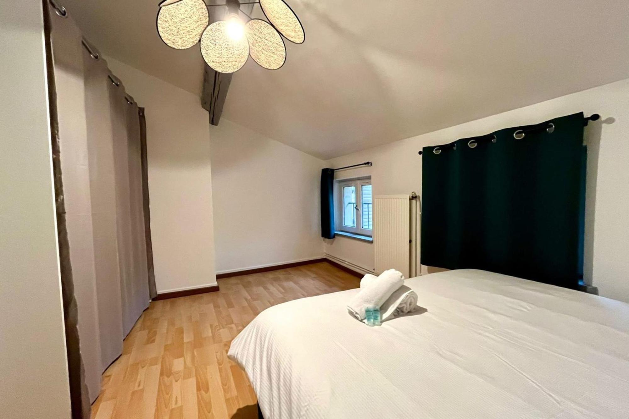 Le Duplex Des Dames Apartment Nancy Exterior foto