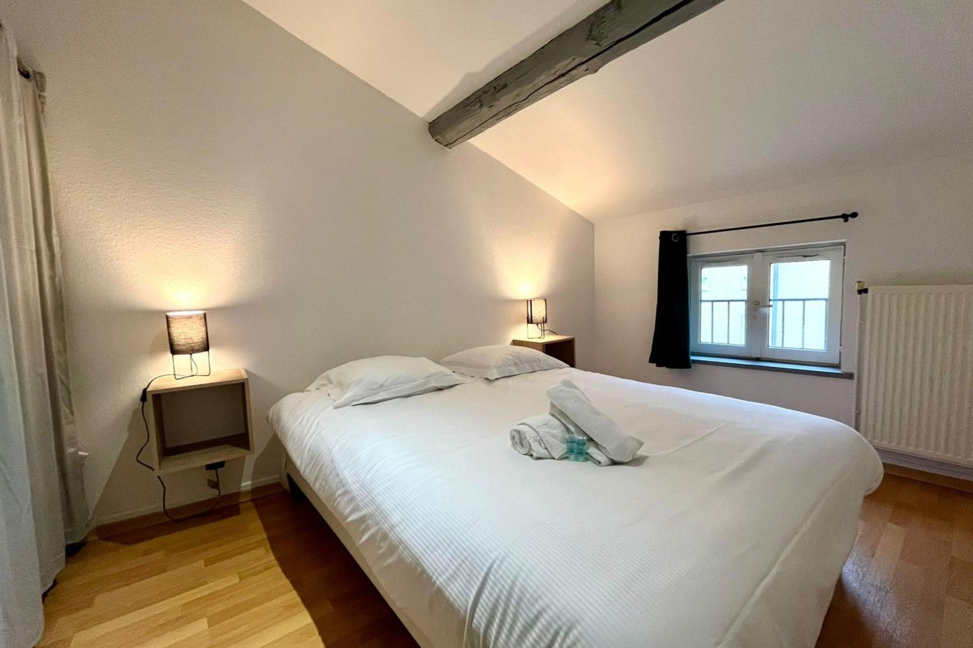 Le Duplex Des Dames Apartment Nancy Exterior foto
